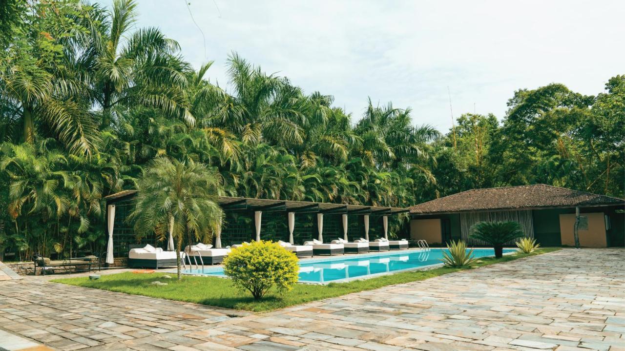 מלון Patlahara Kasara Chitwan מראה חיצוני תמונה